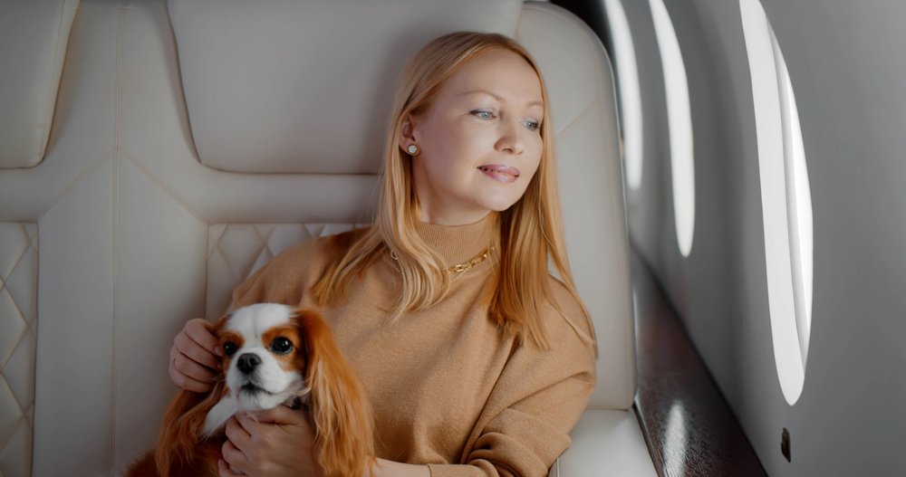 pet on a private plane